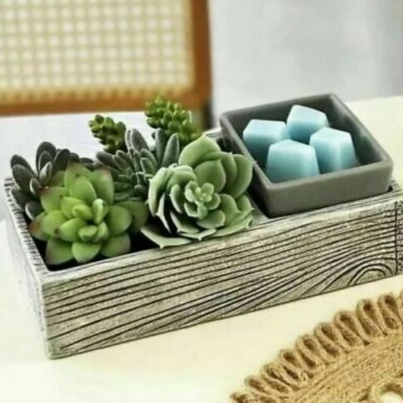 Suc-cute-lent Warmer - Picture 2 of 3